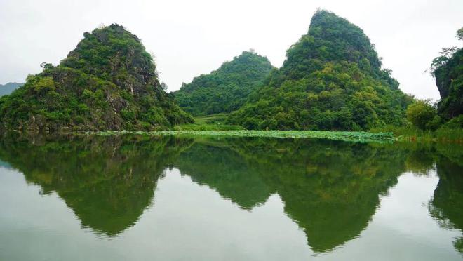 云南旅游最新动态，新鲜资讯与奇妙旅程