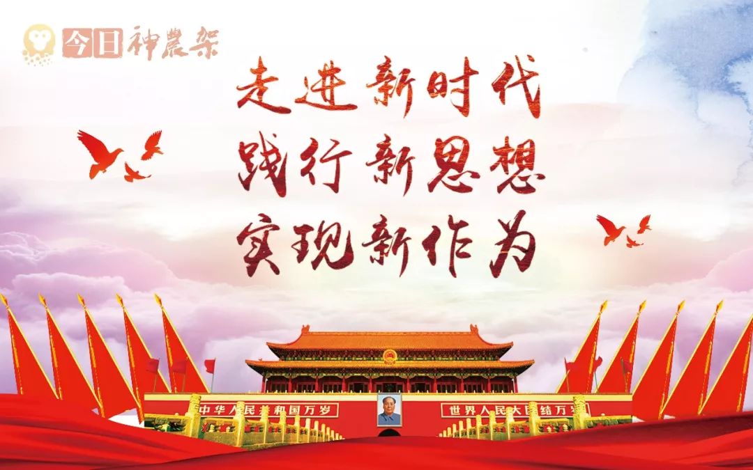 毛概最新版，时代新篇章的引领与解读