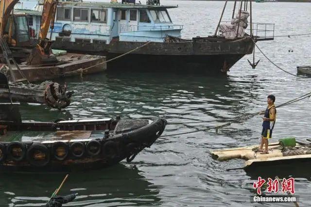 阳江台风最新消息下的温馨日常故事简报