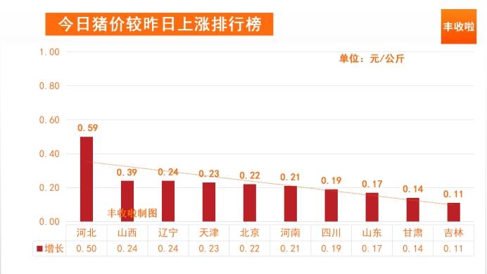 今日生猪价格走势揭秘，温馨故事背后的真实行情分析
