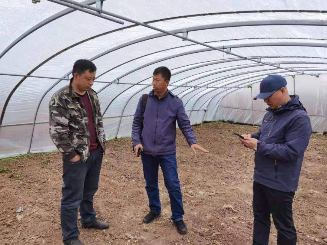 最新传世，学习变化，自信铸就未来成功之路