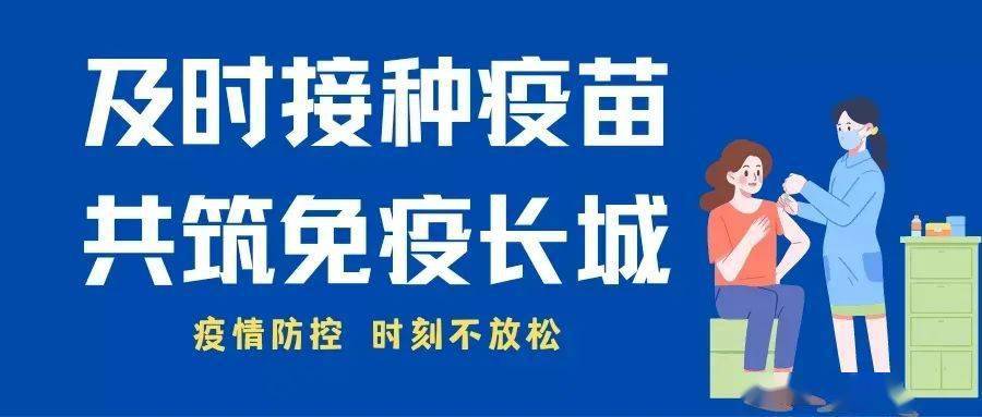 哈尔滨最新疫情动态，观点阐述与分析