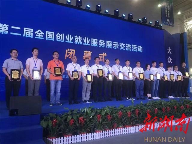 李丽莎最新动态解析，聚焦三大要点揭秘