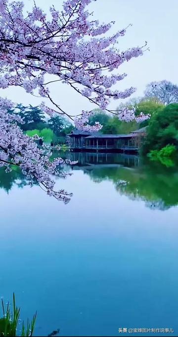 最新个人所得税政策解读，探索自然美景的心灵之旅
