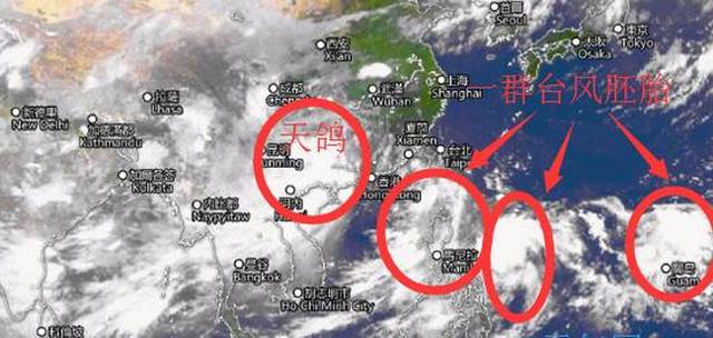 台风天鸽最新动态，追寻自然美景的奇妙旅行之旅