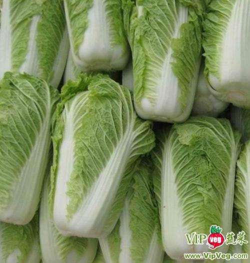 商品车运输 第232页