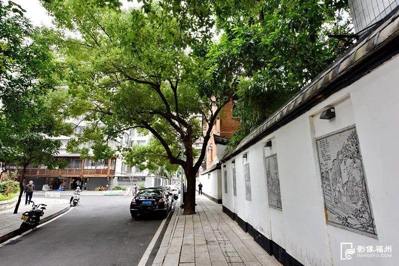 全球最新科技，小巷中的创新宝藏