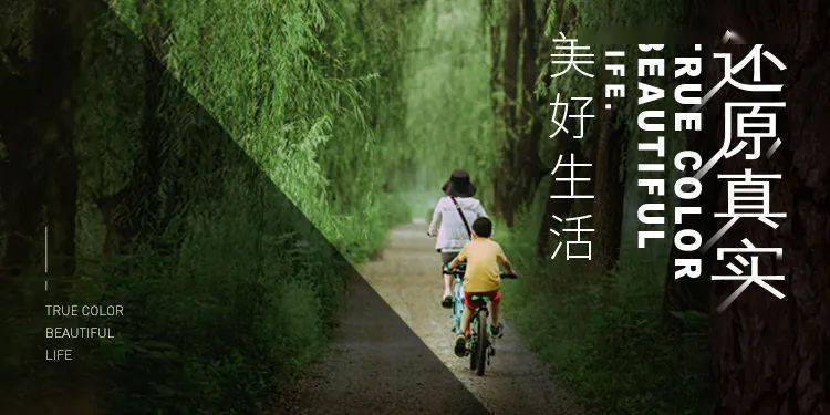 商品车运输 第229页