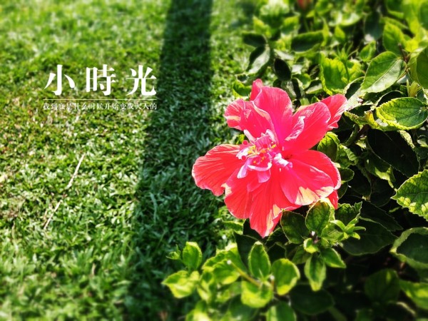 春暖花开杏吧有你，最新地址及详细步骤指南