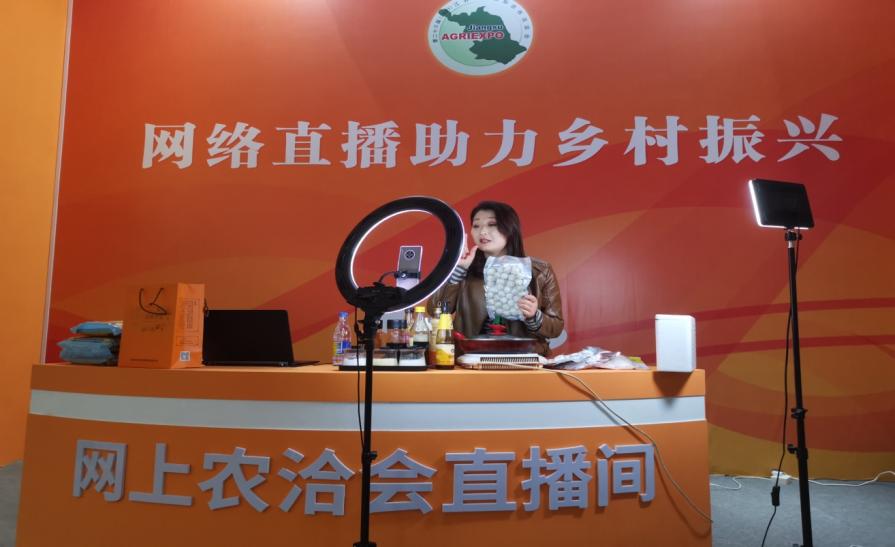 连云港人才市场最新招聘信息，启程探索自然美景，寻找内心的平和宁静之旅