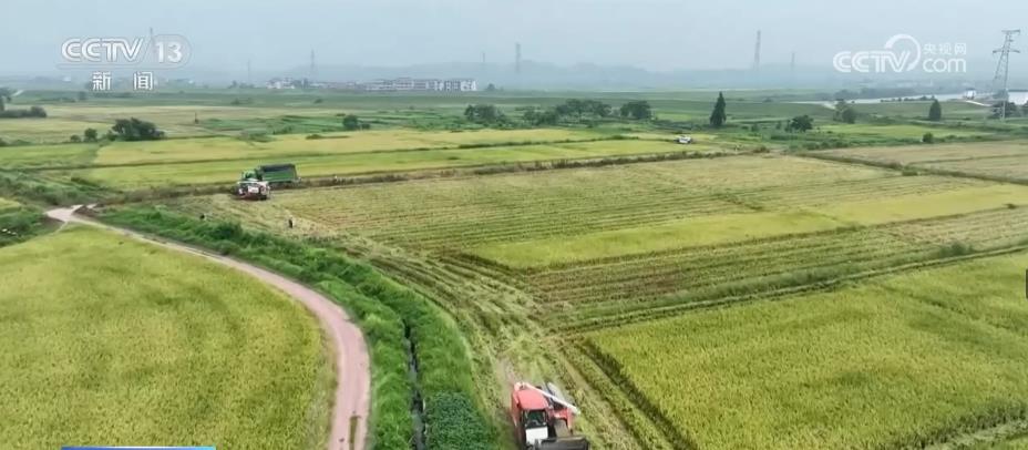 抚州临川罗针最新事，与自然美景的邂逅，内心平和之旅
