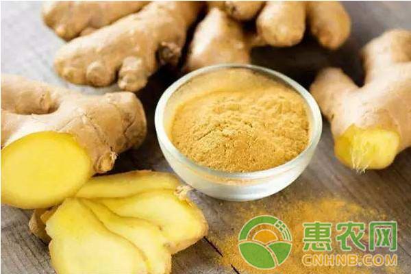 生姜最新价格走势及其对市场的影响深度解析