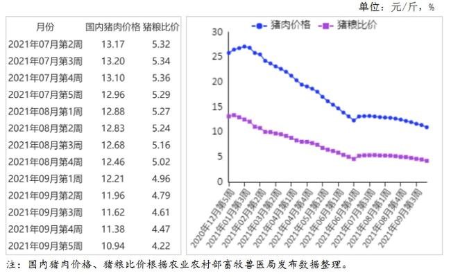 最新生猪价格及市场走势分析与预测