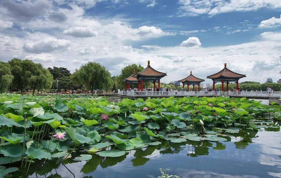 诸暨新闻最新动态，拥抱自然，踏寻内心平静的旅行