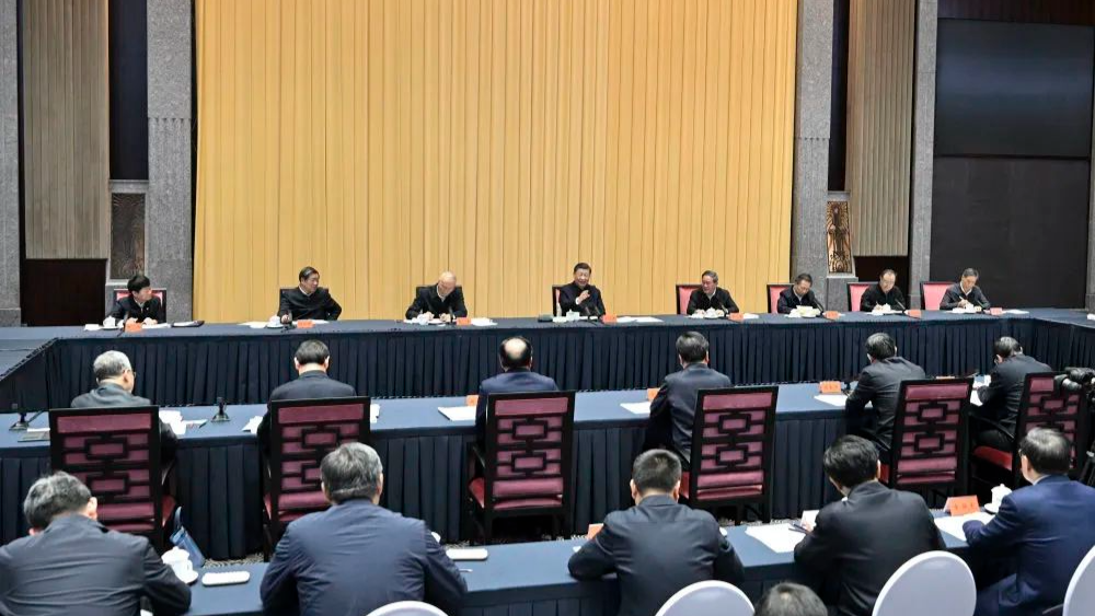 容城新闻深度解读，最新消息与观点论述汇总报告