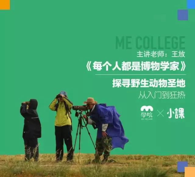 运鸿最新动态，心灵与自然的奇妙之旅