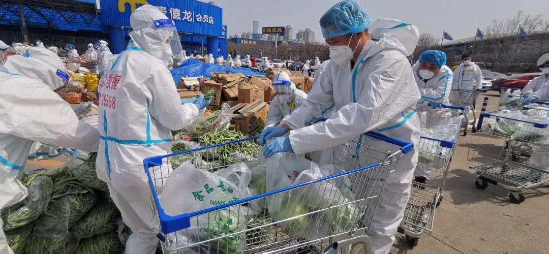 上海最新病例解读与案例分析，全面揭示新增病例详情