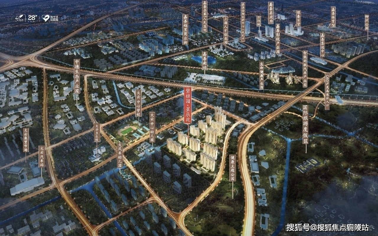 比特币最新行情深度解析，获取与分析步骤指南（2008年行情回顾）