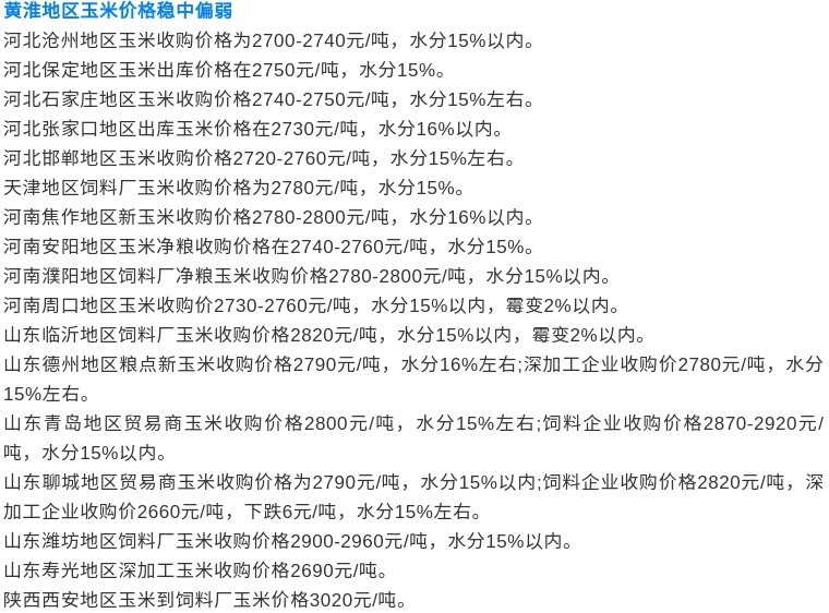 全球粮食市场最新动态解析，粮价消息一览