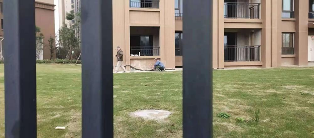 成都大学案件最新进展多维解析，影响与多维度观点分析