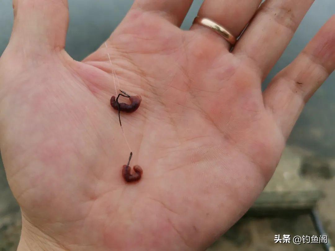青岛金日达 第150页