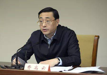 费高云最新任职揭晓