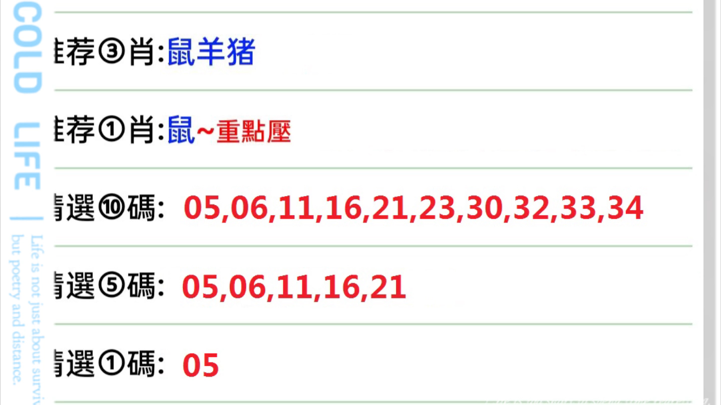 青岛金日达 第146页