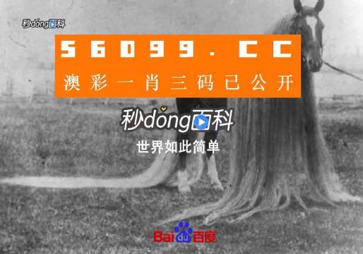 运输服务 第144页