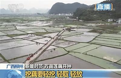 百朋镇最新新闻揭秘，独家报道，不容错过！