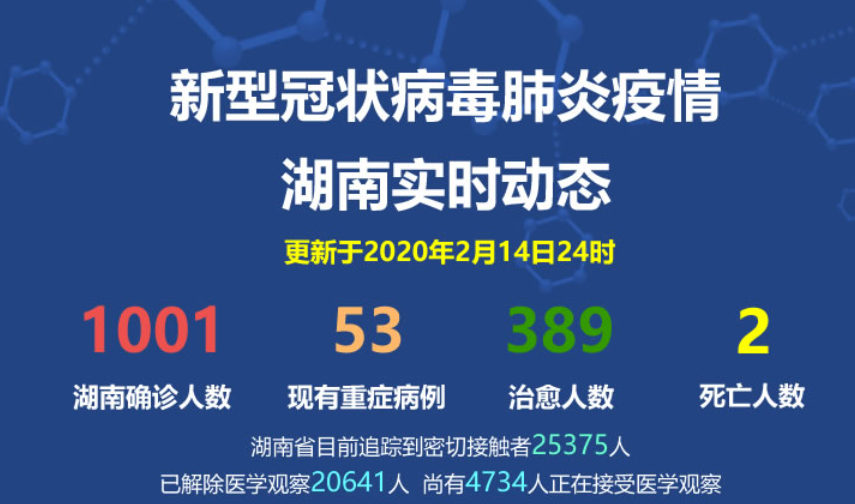 湖南新肺炎疫情最新动态，背景、进展与影响概述