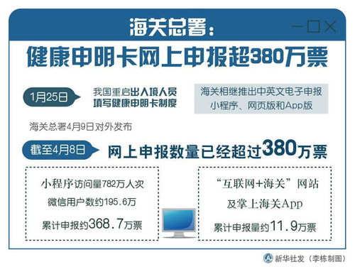 最新海关申报码详解及应用指南