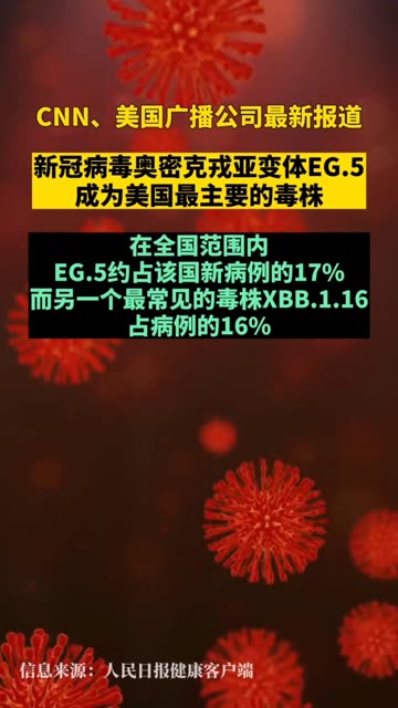 美国最新病毒消息全面解析