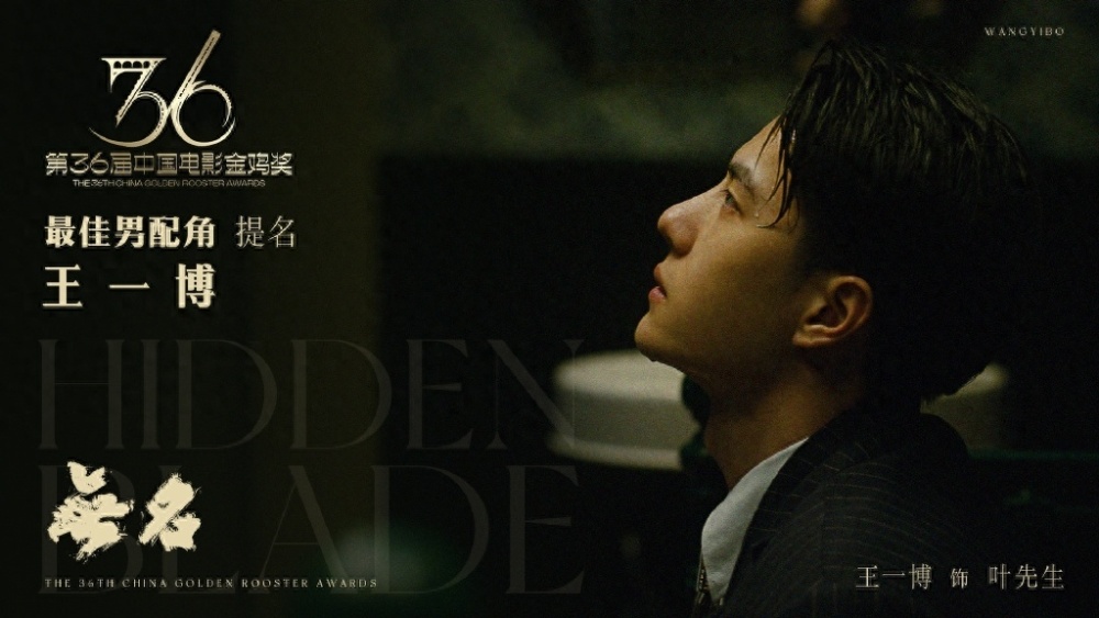 最新电影播出，时代印记与文化回响的碰撞与共鸣