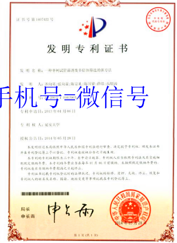 最新专利法全文下的温馨日常解读