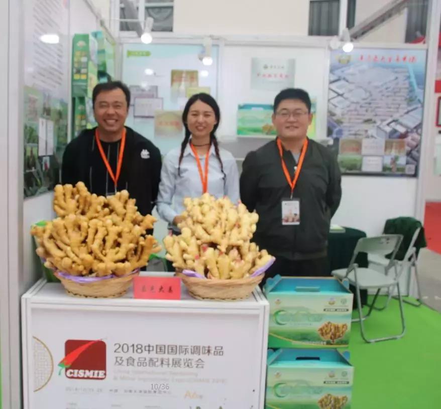 市场走势分析与预测