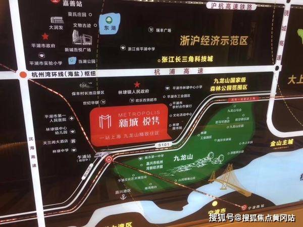 华彩人生最新版深度解析与应用展望