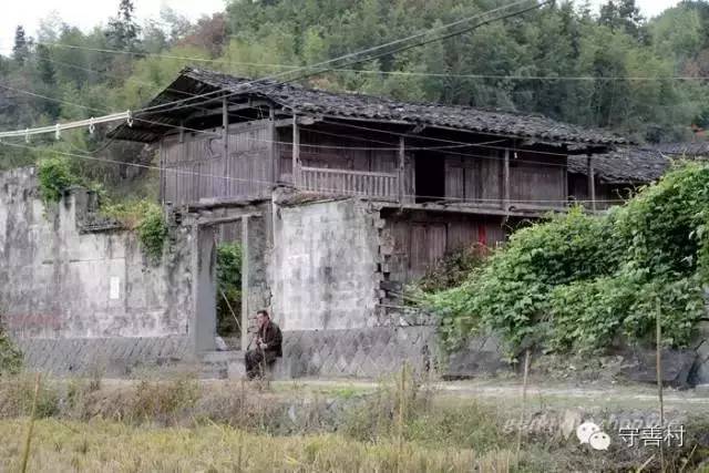 马跑泉最新动态，小巷深处的独特风味探秘