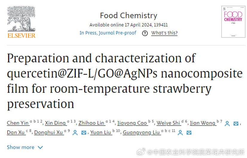 哚哚影视最新动态，探索之路与深度反思