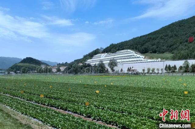太白县最新新闻动态，小城的温馨日常与深厚友情的展现