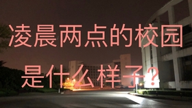 最新励志剧集，小巷深处的梦想舞台与特色小店的璀璨之光