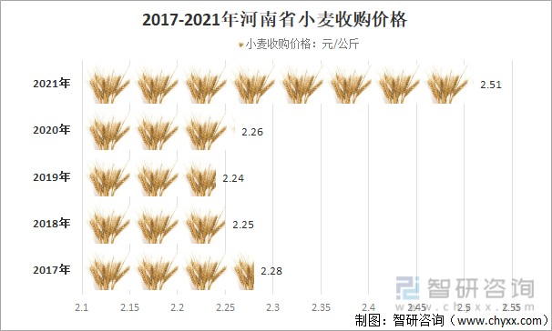沧州小麦最新价格与温情故事