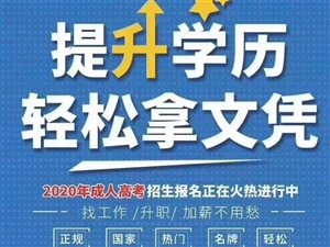 白城之窗最新招聘，观点论述与职位概览