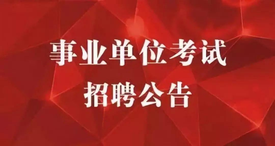 德州最新招聘动态，观点阐述与深度解析