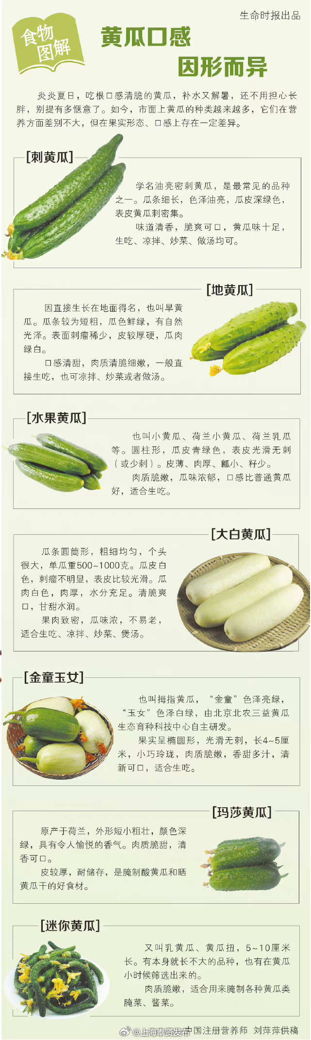 最新黄瓜价格，友情与市场的奇妙交织