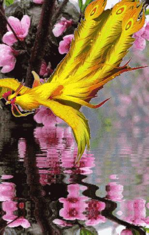高血压防治最新进展揭秘，助你健康无忧！