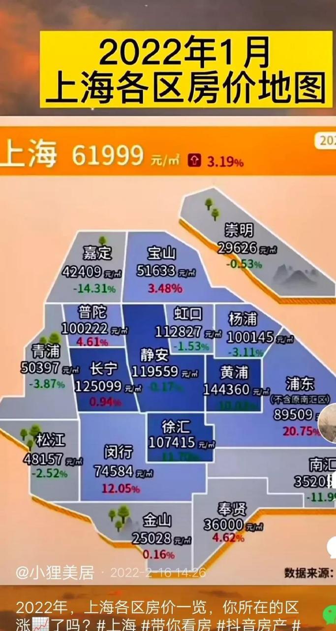 金山最新房价揭秘，热门楼盘价格大解密✨