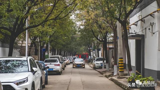 西安高陵区最新动态，巷弄深处的独特风味探秘