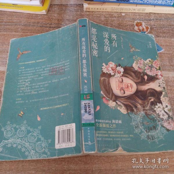 沐清雨最新小说，深度解析魅力与价值