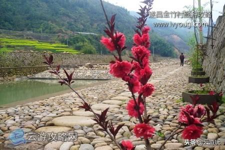 遂昌房屋出租最新信息及住宿选择指南
