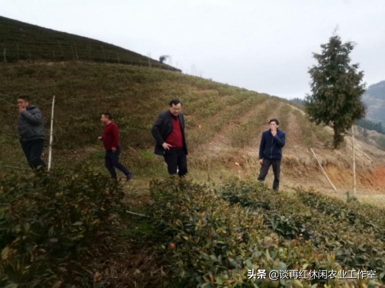 安化最新动态，深度剖析背景、事件与地位影响